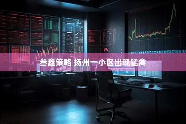 叁鑫策略 扬州一小区出现猛禽